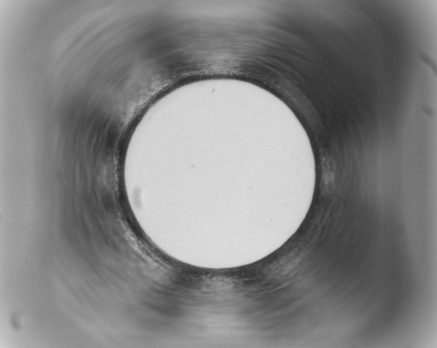 X0000103930677200810031259