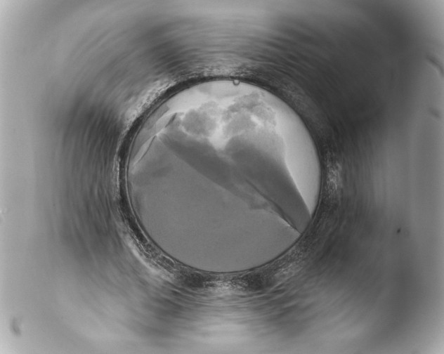 X0000103930678200810031259