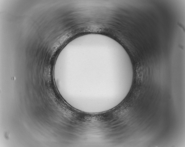 X0000103930679200810031259