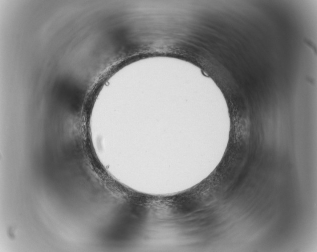 X0000103930680200810031259