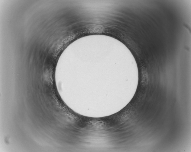 X0000103930681200810031259