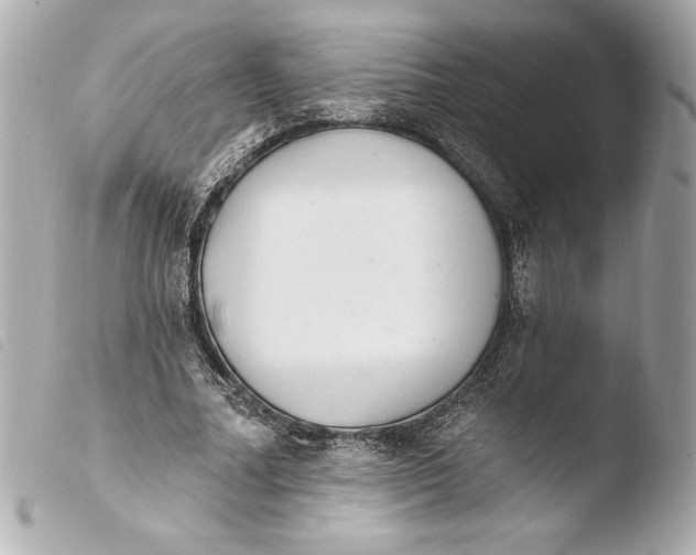 X0000103930682200810031259