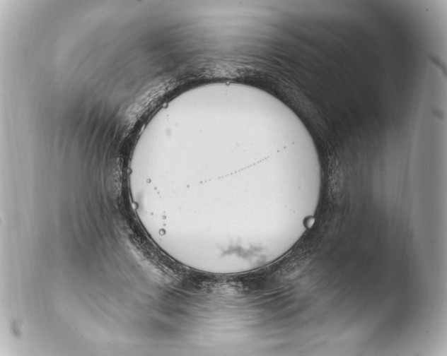 X0000103930683200810031259