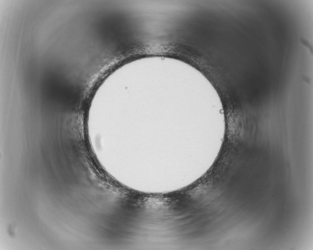 X0000103930684200810031259