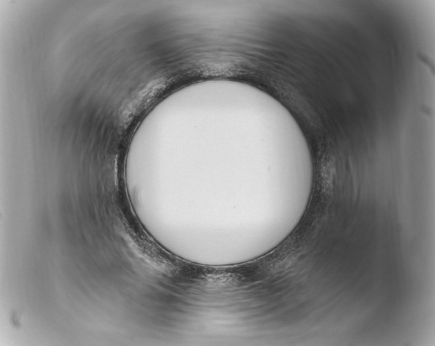 X0000103930686200810031259