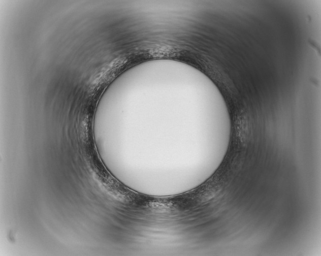 X0000103930690200810031259