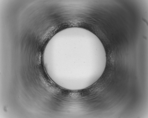 X0000103930694200810031259