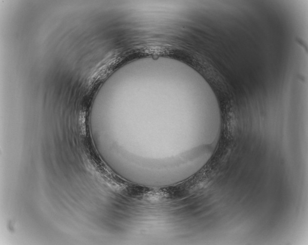 X0000103930696200810031259