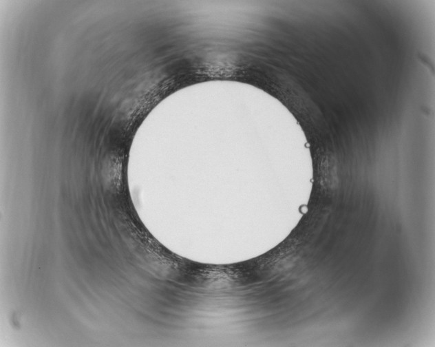 X0000103930697200810031259
