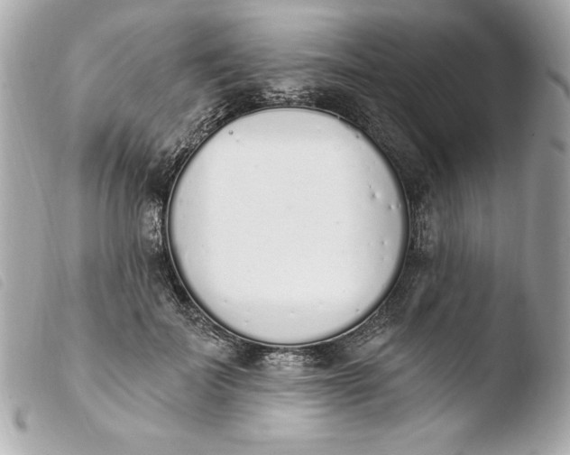 X0000103930699200810031259