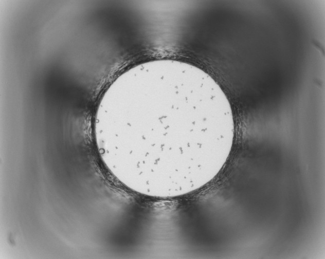X0000103930700200810031259