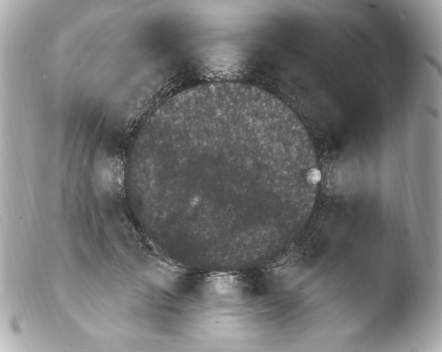 X0000103930701200810031259