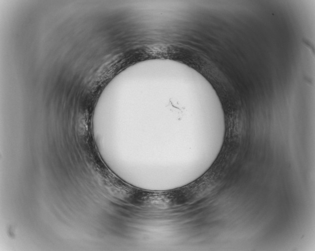 X0000103930702200810031259