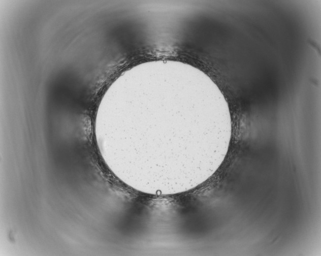X0000103930704200810031259