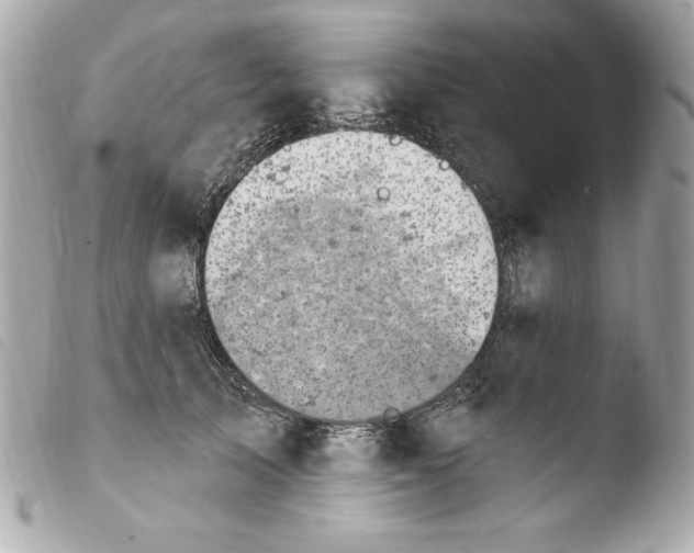 X0000103930705200810031259