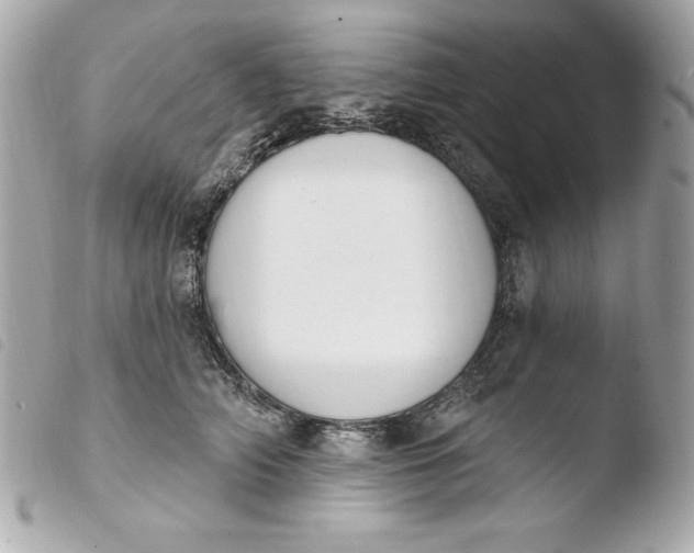 X0000103930706200810031259