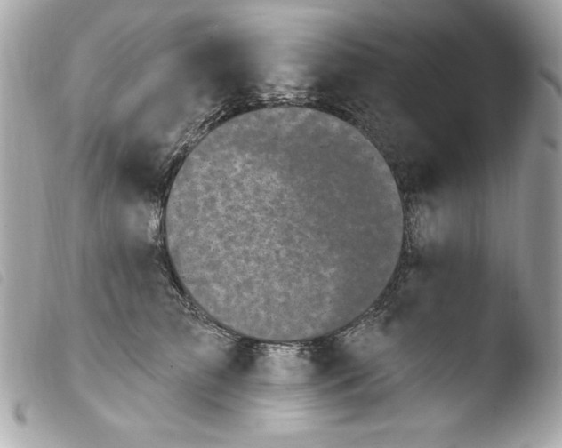 X0000103930709200810031259
