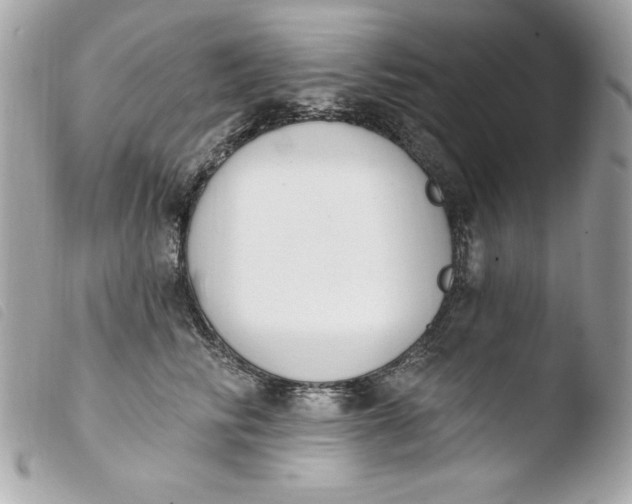 X0000103930710200810031259