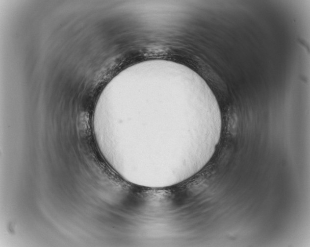 X0000103930711200810031259