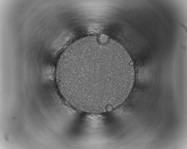 X0000103930712200810031259