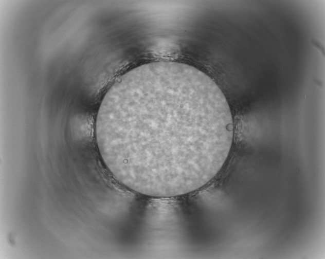 X0000103930713200810031259