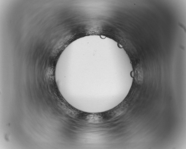 X0000103930714200810031259