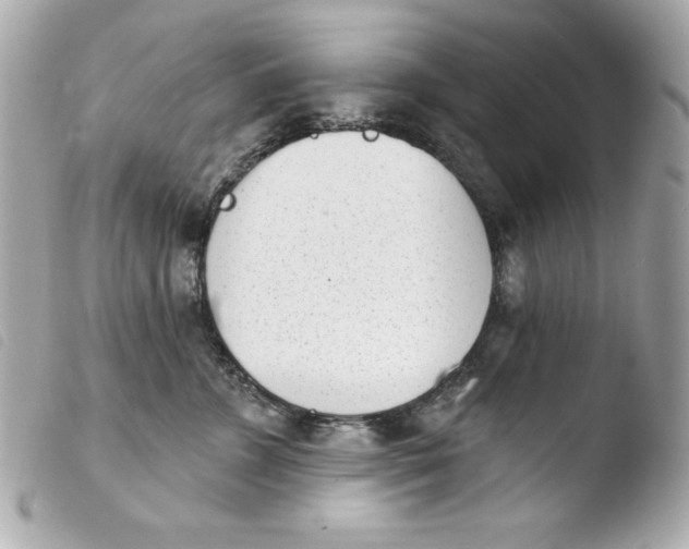 X0000103930715200810031259