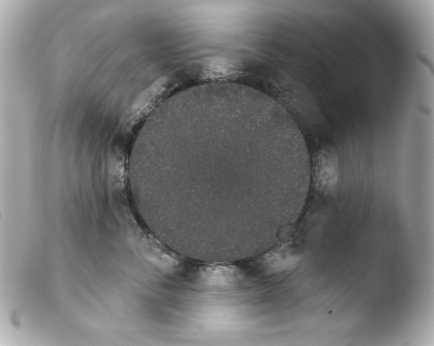 X0000103930716200810031259
