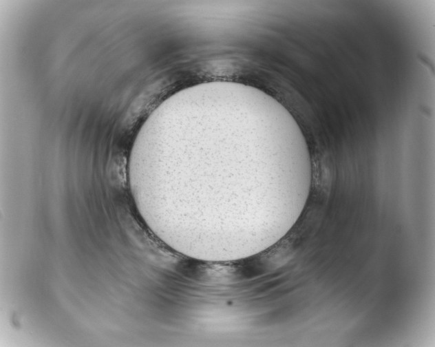 X0000103930718200810031259