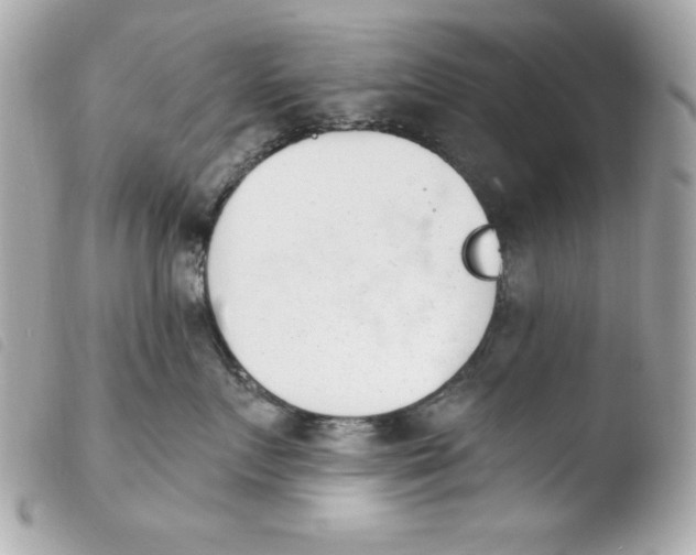 X0000103930719200810031259