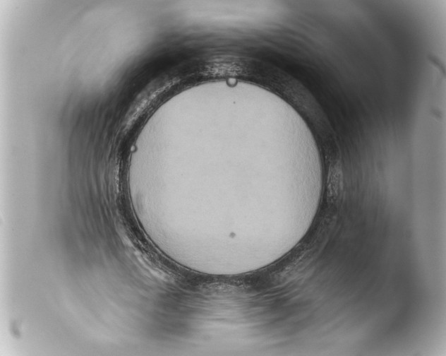 X0000103930722200810031258