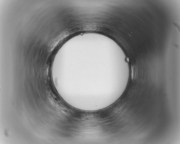 X0000103930723200810031258