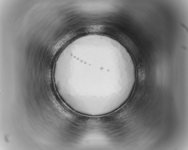X0000103930725200810031258