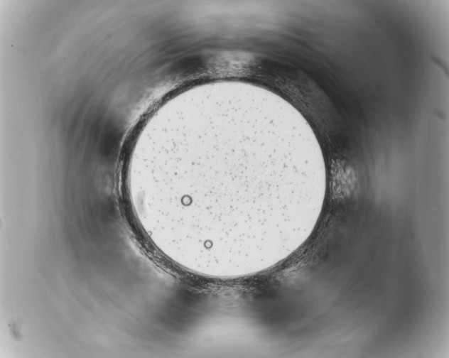 X0000103930726200810031258