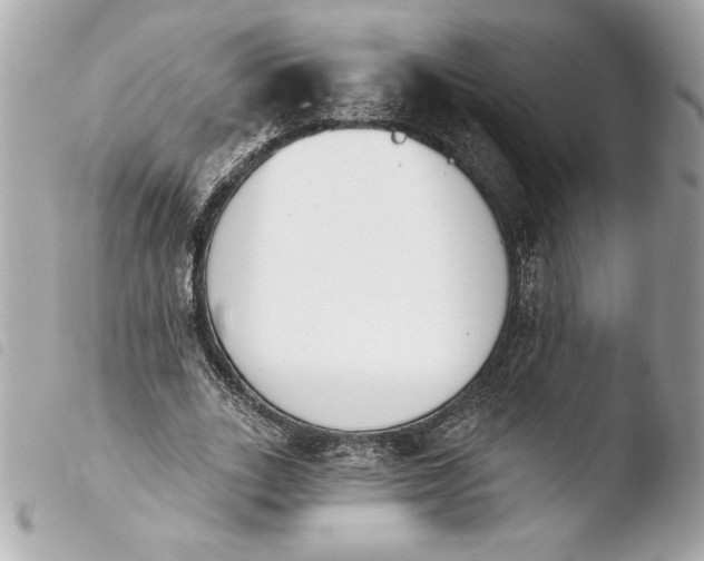 X0000103930727200810031258