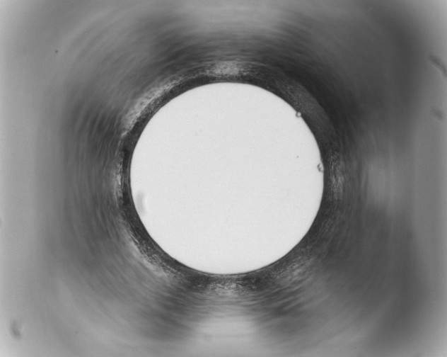 X0000103930728200810031258