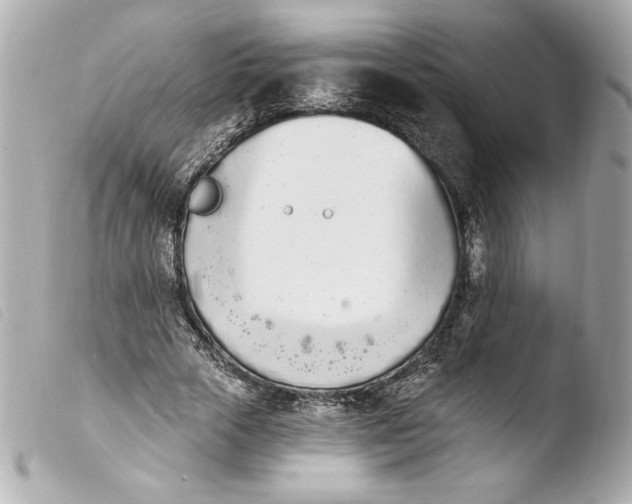 X0000103930729200810031258