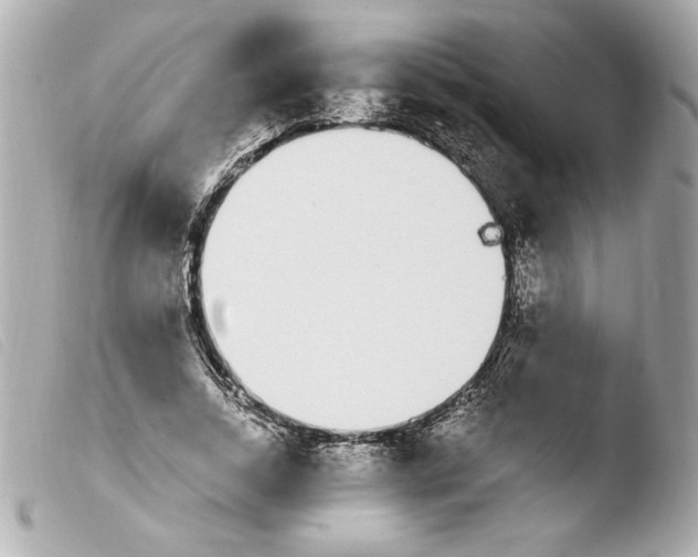 X0000103930730200810031258