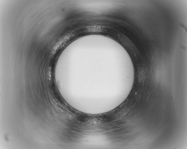X0000103930731200810031258