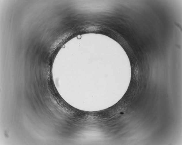 X0000103930732200810031258