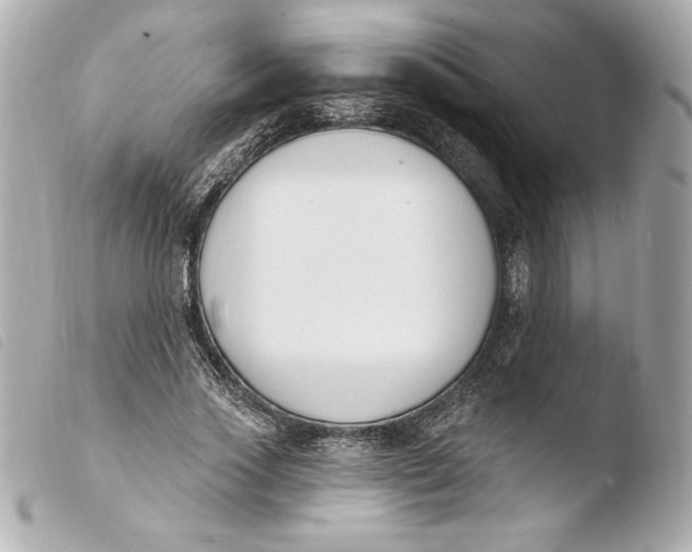 X0000103930733200810031258