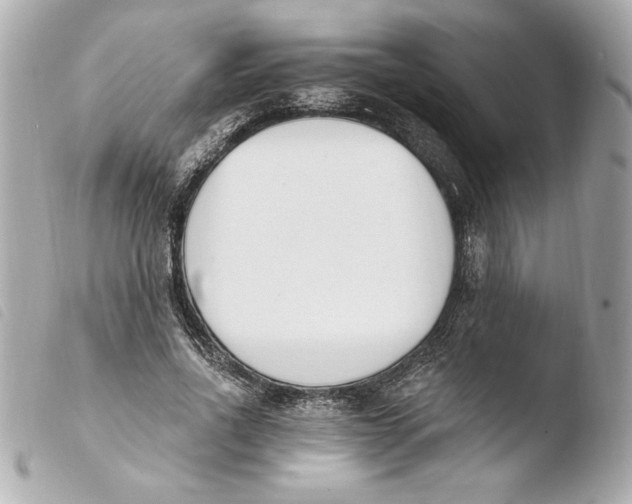X0000103930734200810031258