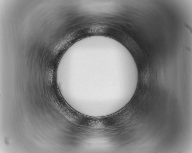 X0000103930735200810031258