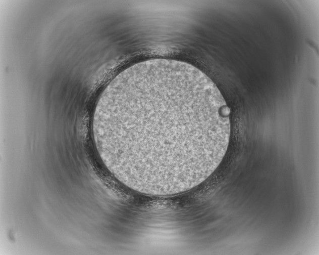X0000103930736200810031258