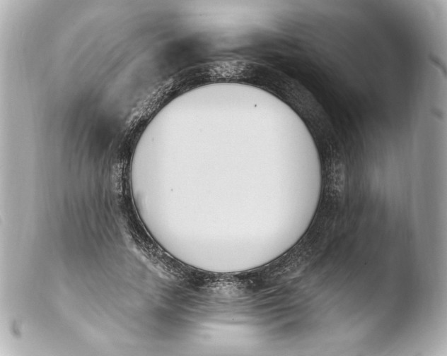 X0000103930738200810031258