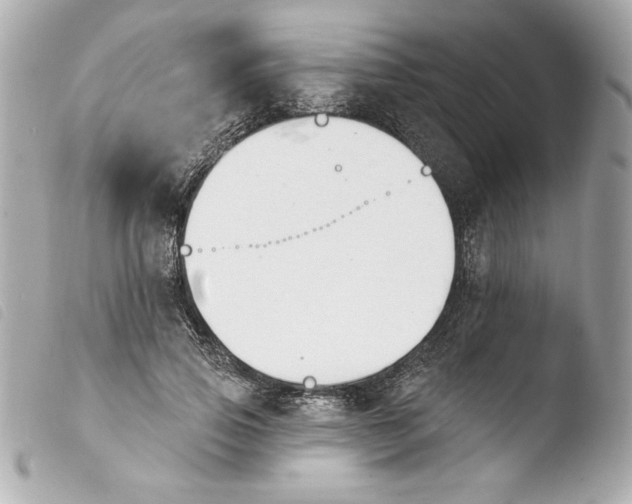 X0000103930741200810031258