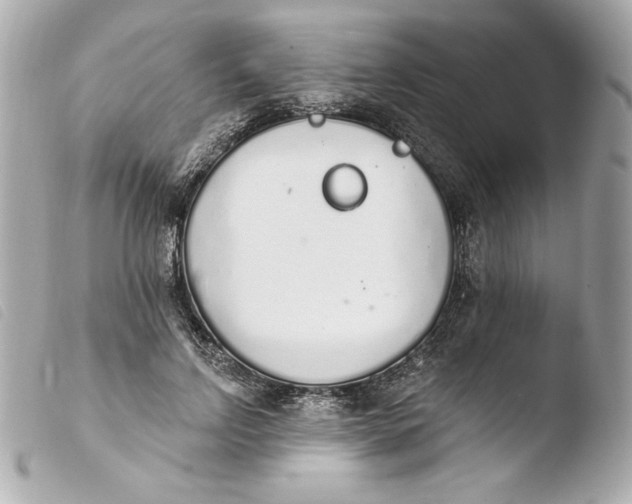 X0000103930742200810031258