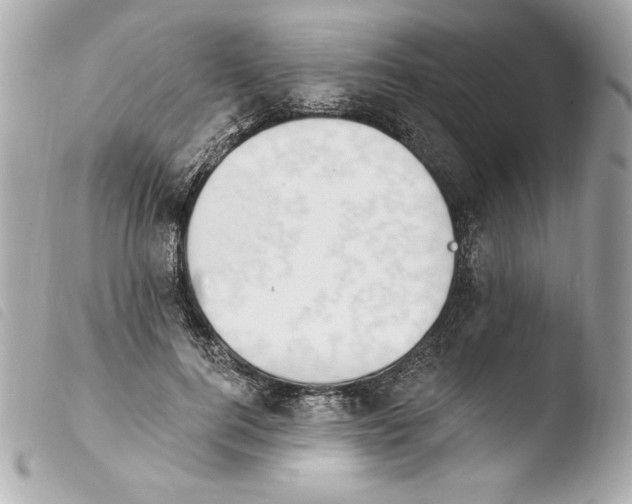 X0000103930744200810031258
