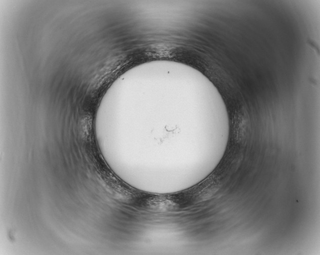 X0000103930747200810031258