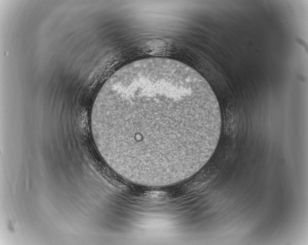 X0000103930748200810031258